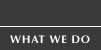 What We Do